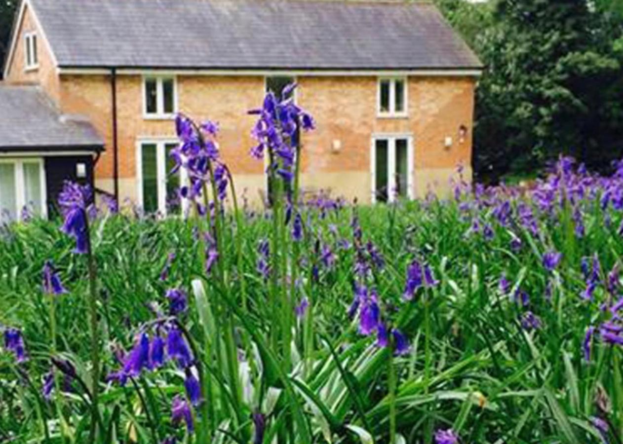Grooms Cottage Alkham Екстериор снимка